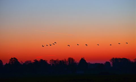Sunrise