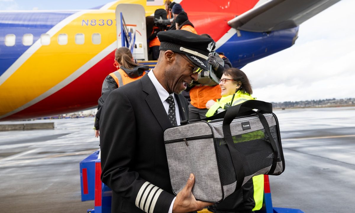 southwest shelter pets airlift 250201 pet rescue lgb pdx web020