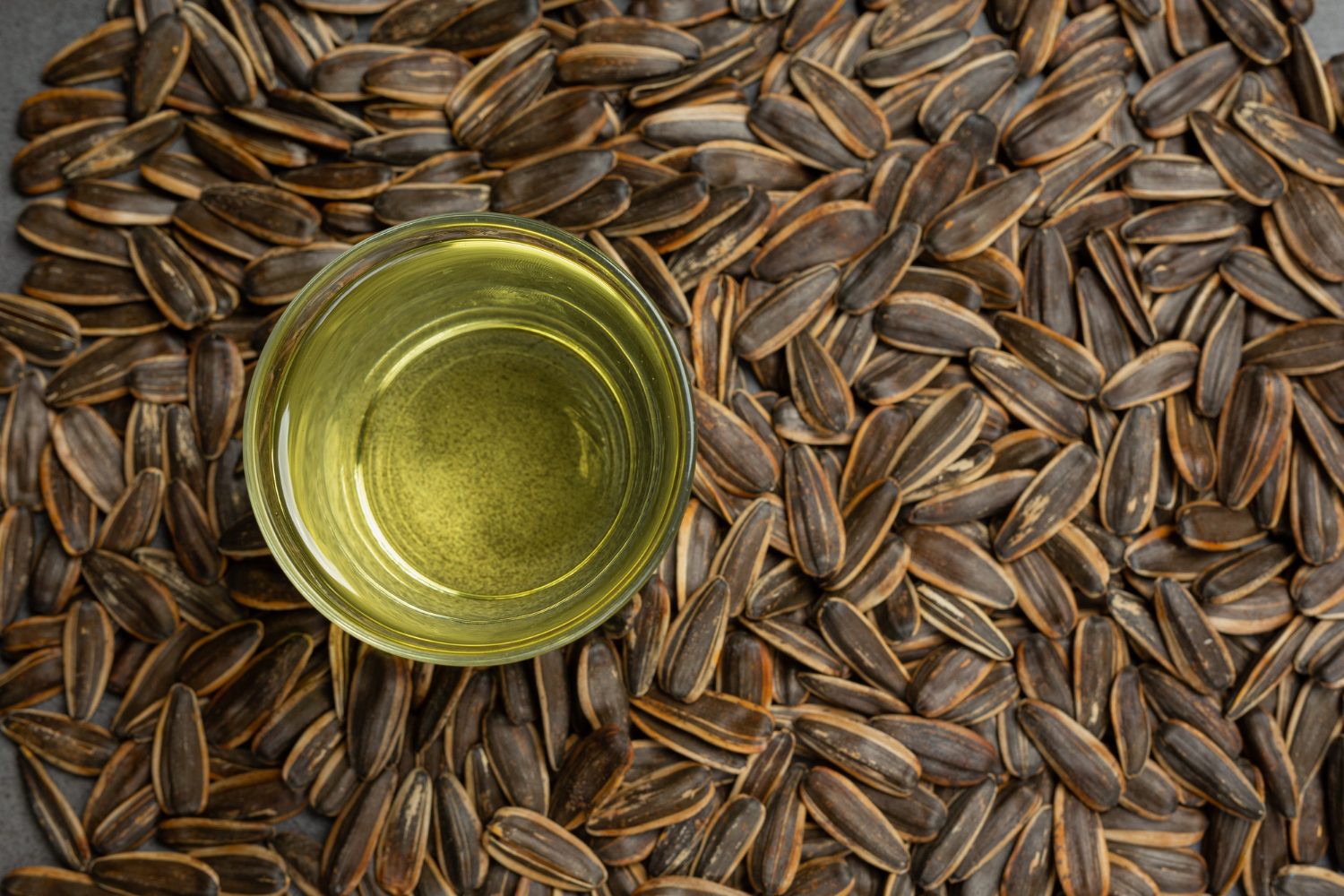 Sunflower oil