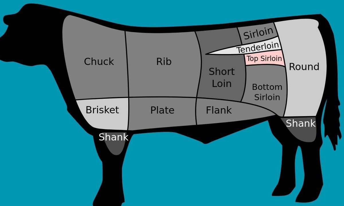 Diagram of a cow that shows where the different cuts of steak come from