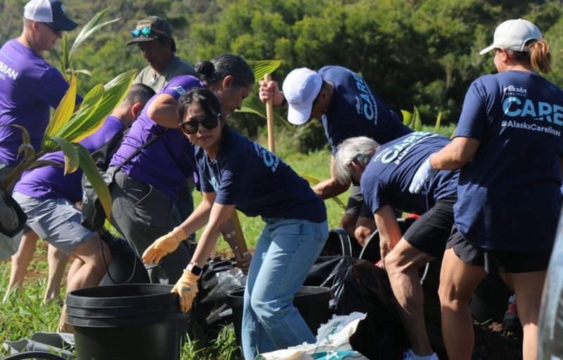 Volunteers from Alaska Airlines and Hawaiian Airlines plant trees