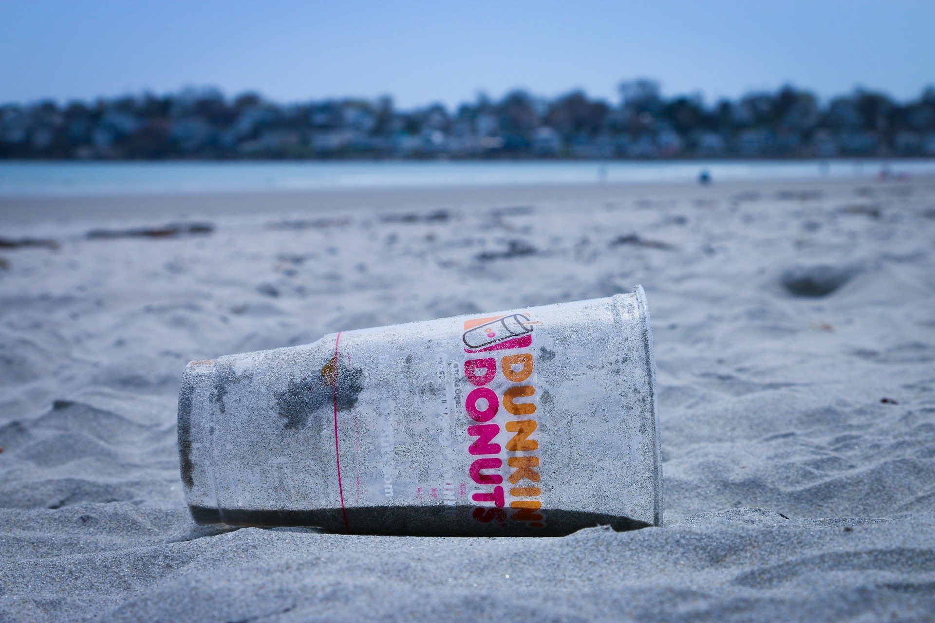 Dunkin' disposable cup
