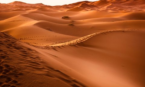 Desert