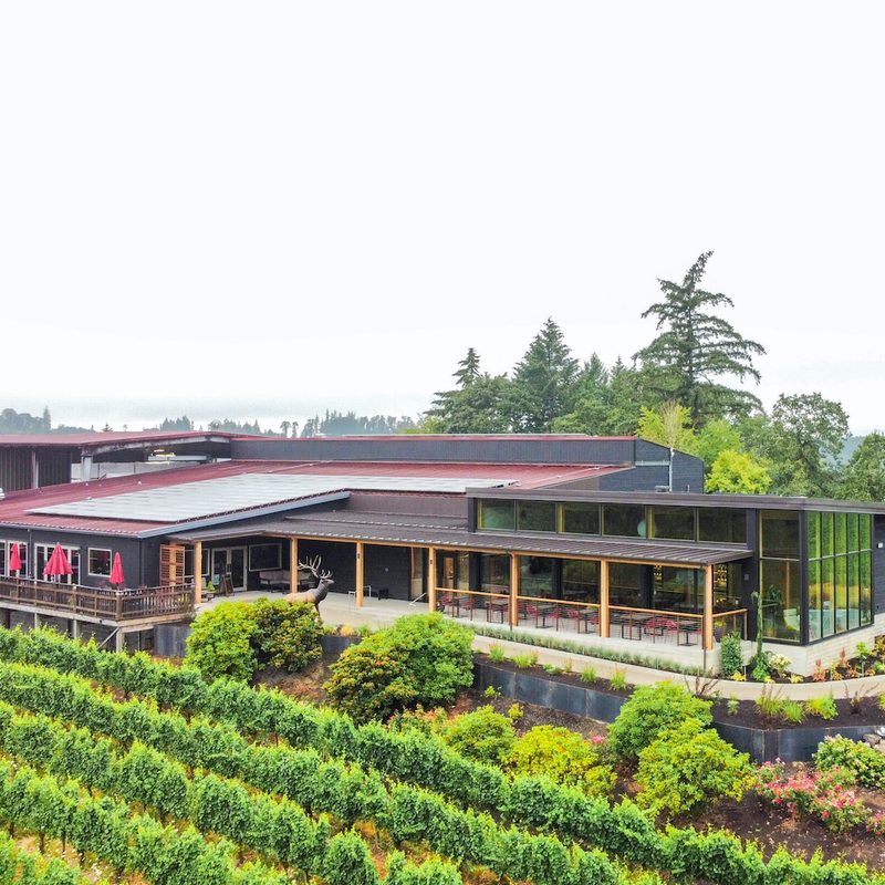 Elk Cove Vineyards, Oregon