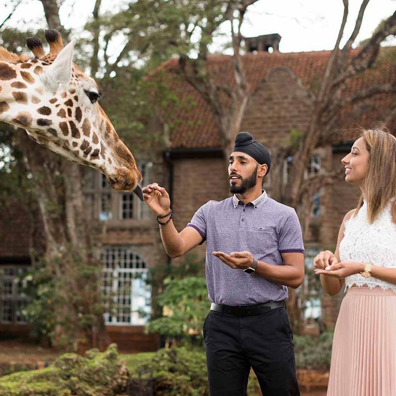 Two people feeding a giraffe at Giraffe Manor Hotel in Nairobi.
