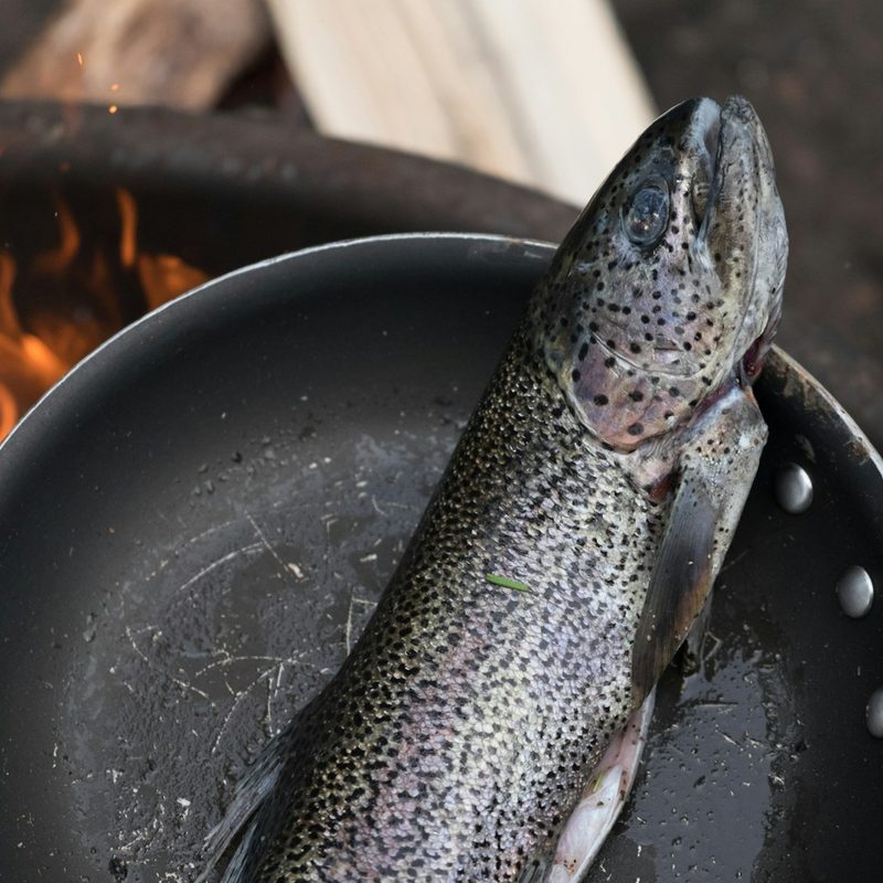 Cooking a fish in a pan over the camp fire