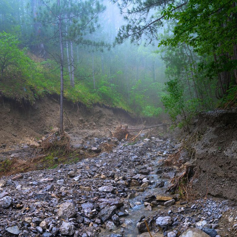 Landslide of rocks, mud, and debris inside a misty forest