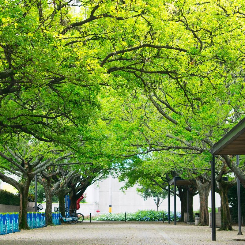 Medellín outside
