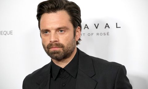 Sebastian Stan brings classic charisma to the red carpet
