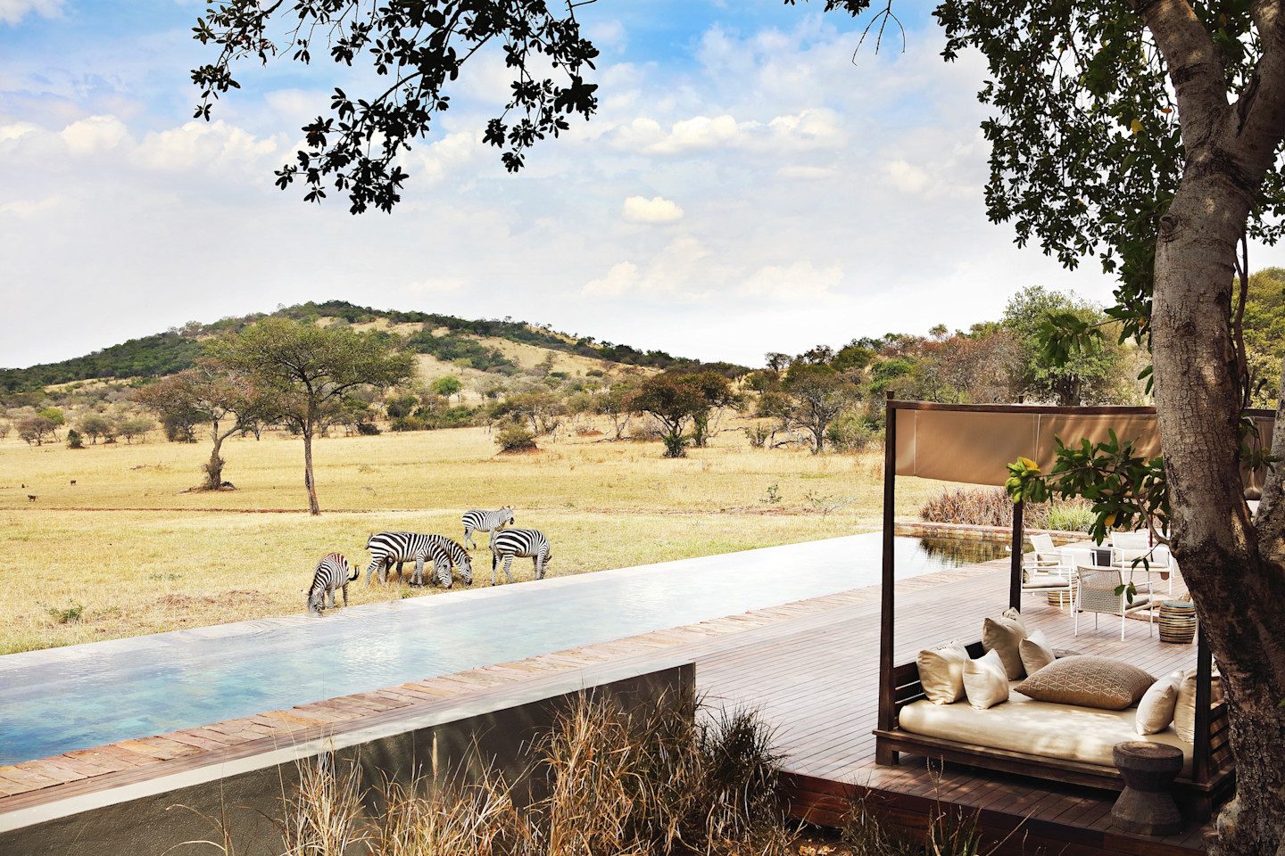 Singita