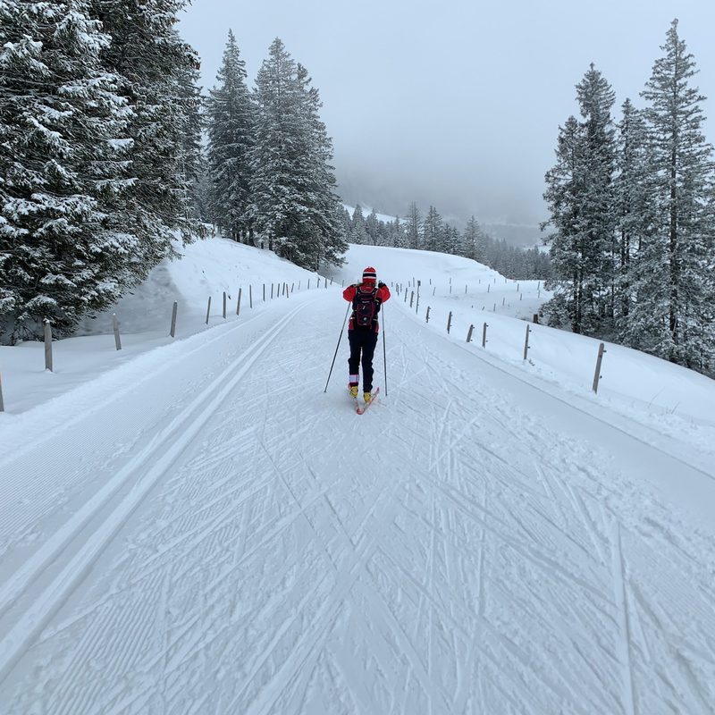 Man cross-country skiing in the winter on a groomed trail