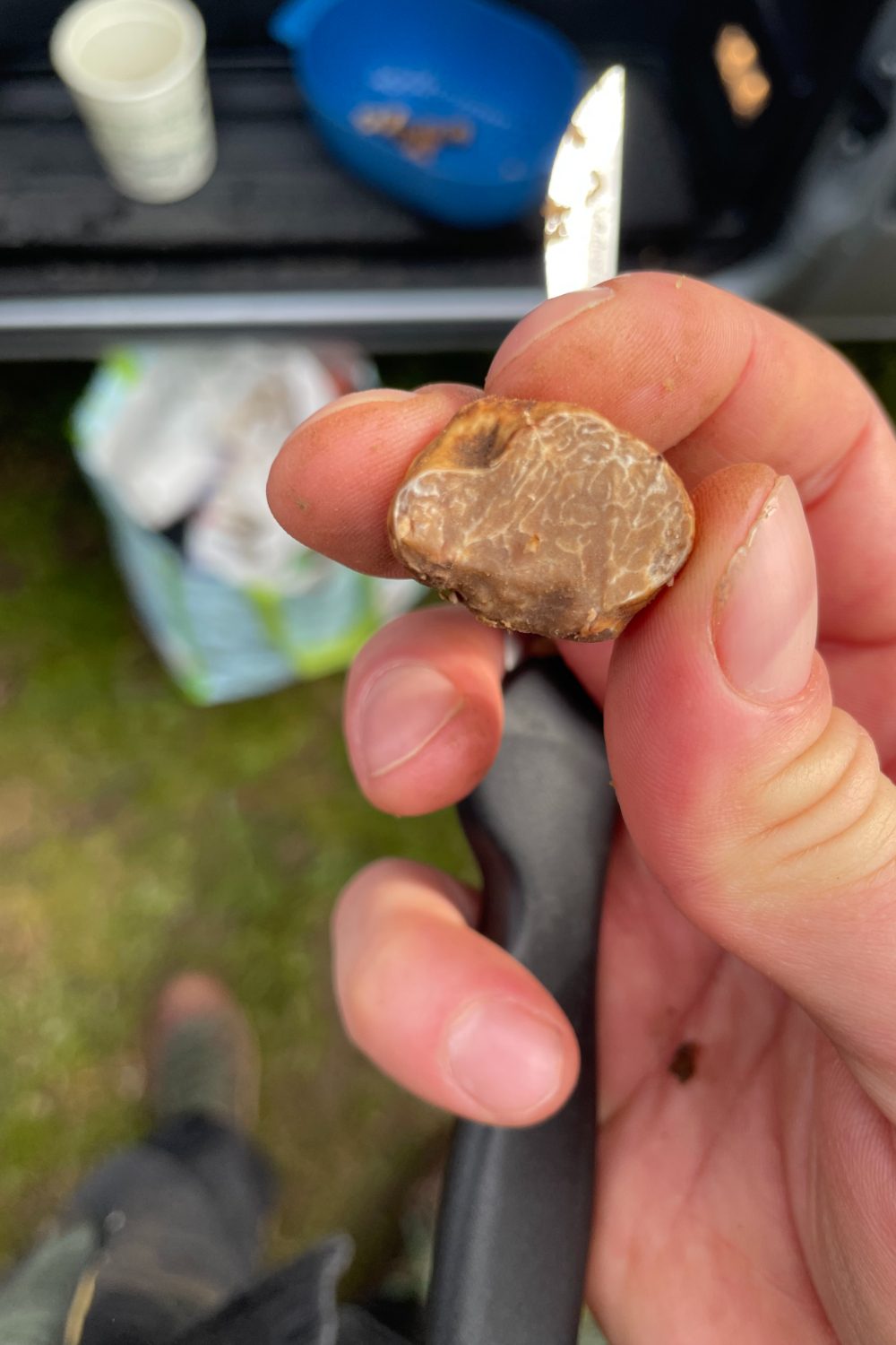 Truffle in hand.