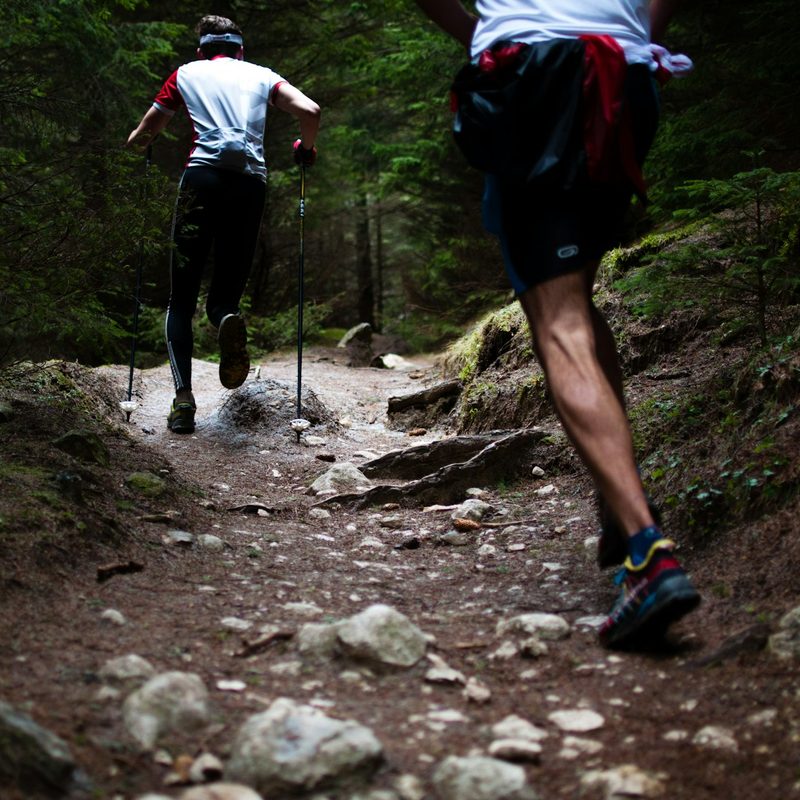 Group trail running through a rocky trail with pine trees.