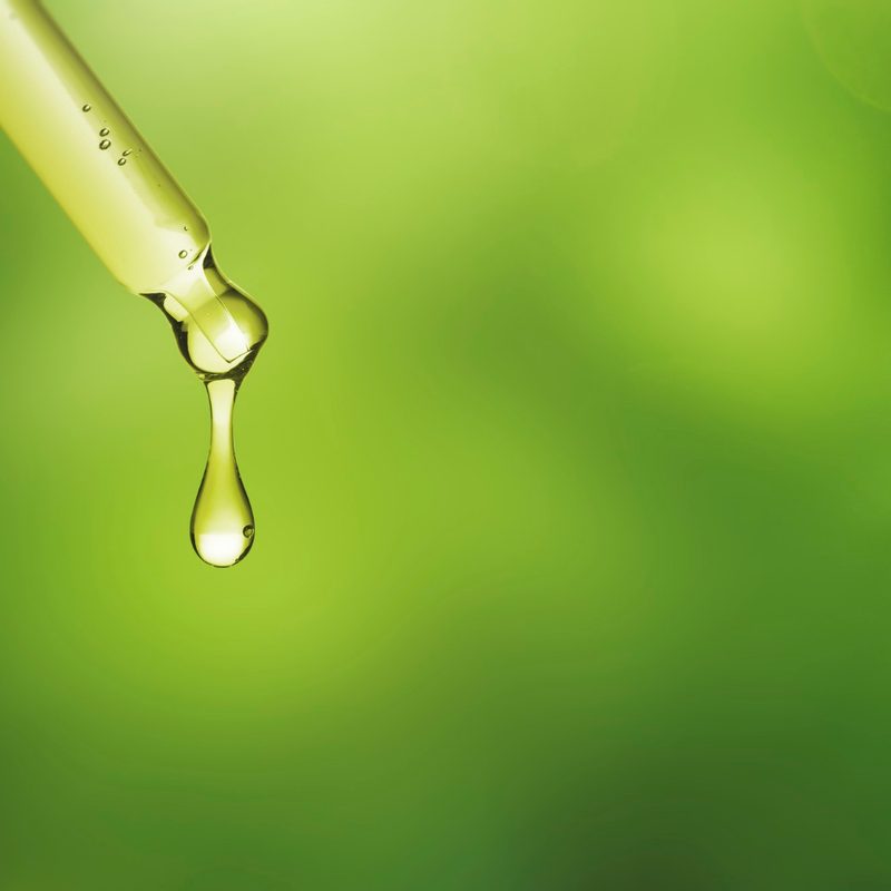 Green tea extract
