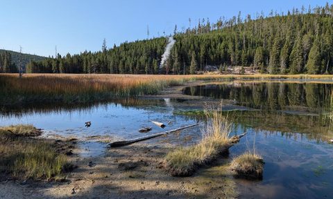 Yellowstone National Park volcanic vent over Nymph Lake