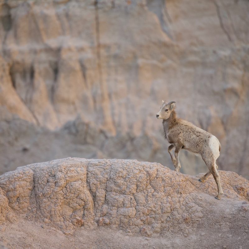 Badlands National Park