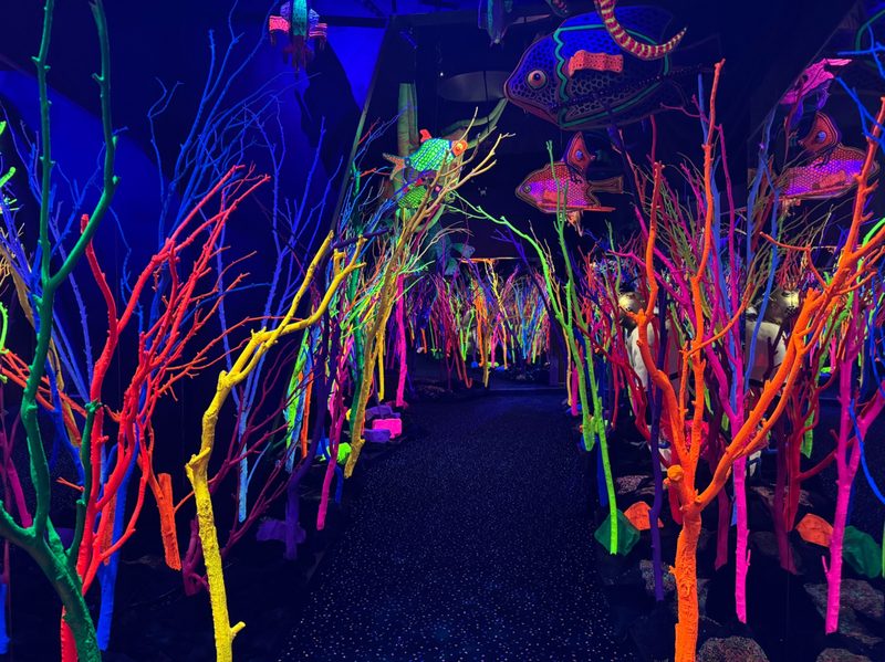 Meow Wolf House of the Eternal Santa Fe