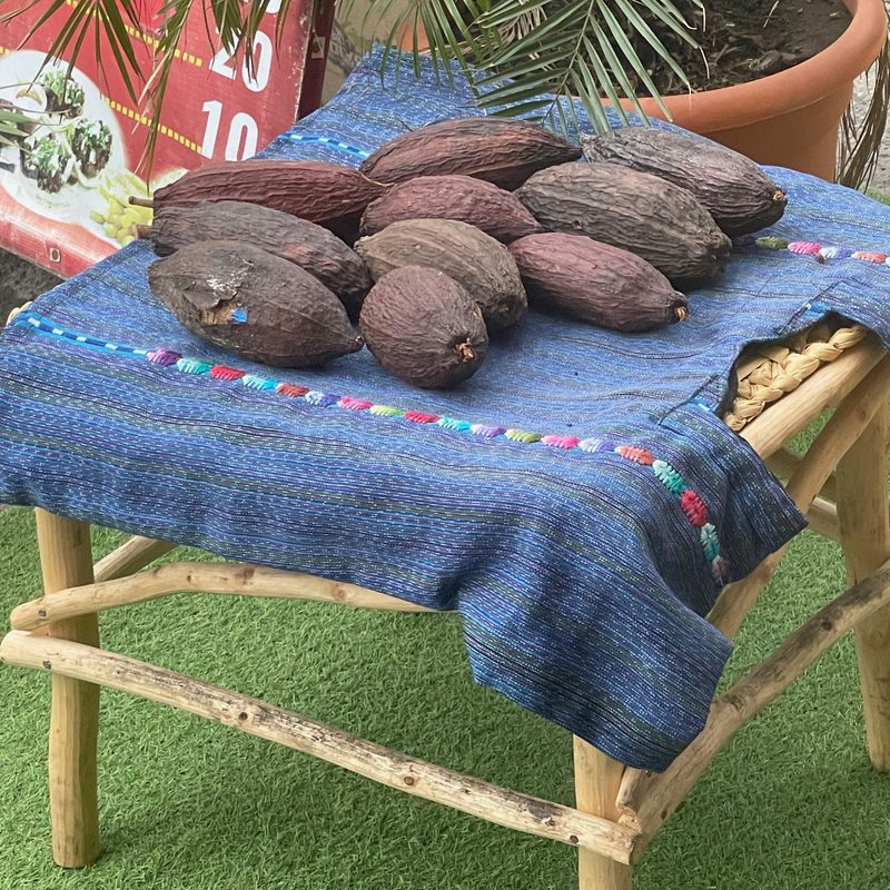 Cacao pods at the Choco Museo, Guatemala