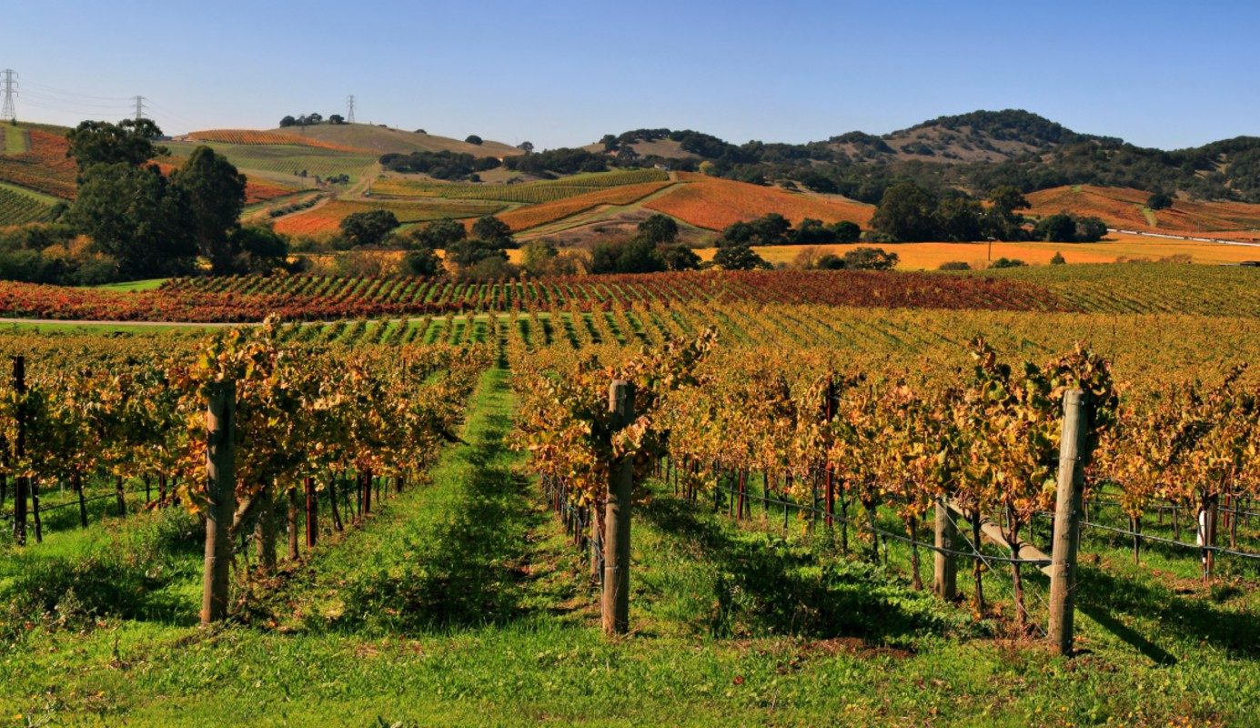 Napa Valley, California