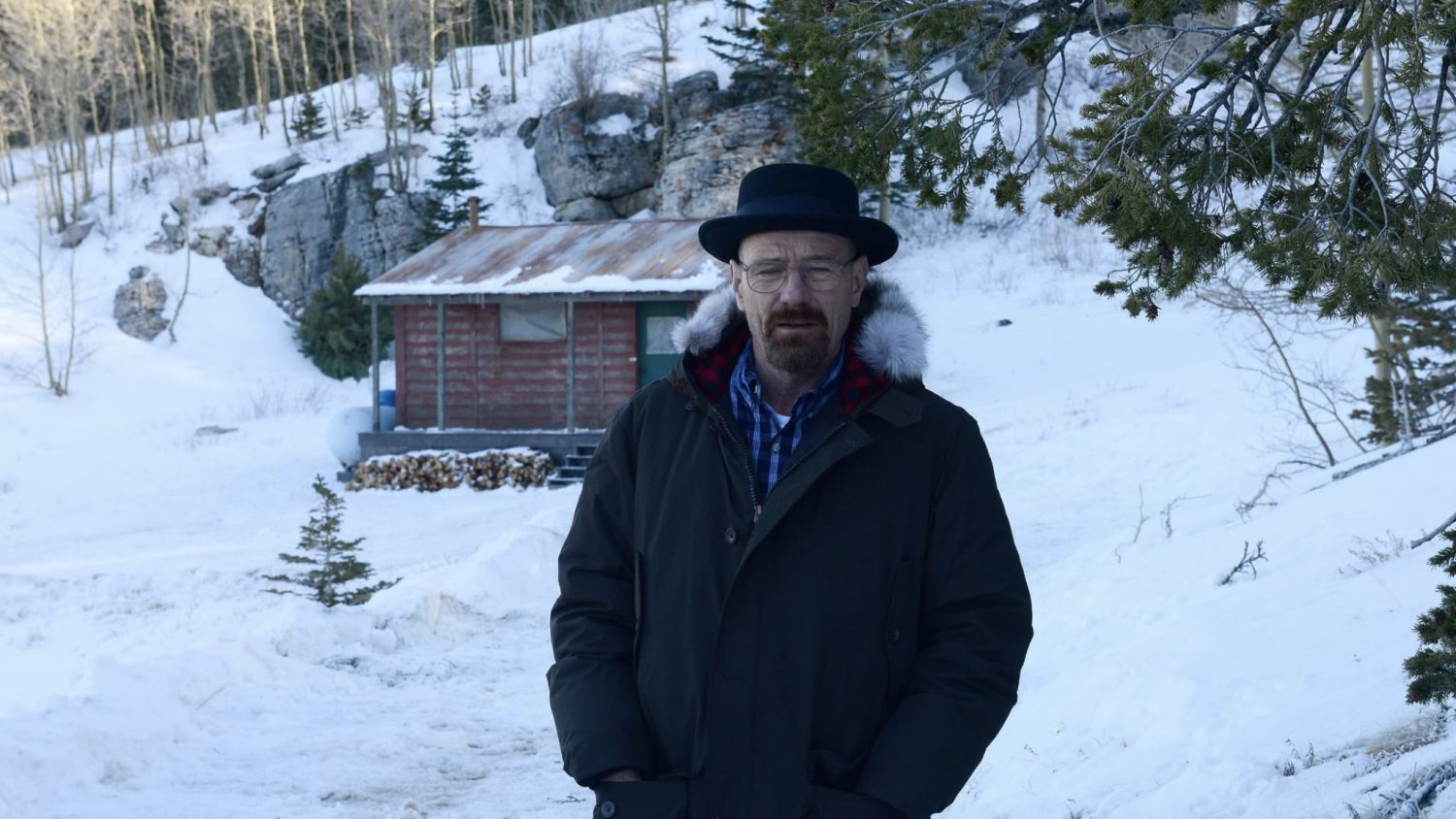 Bryan Cranston as Walter White in Breaking Bad season 5