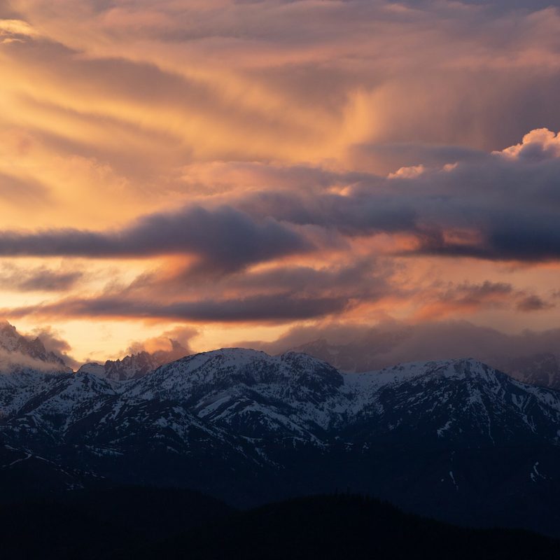 Okanogan-Wenatchee National Forest