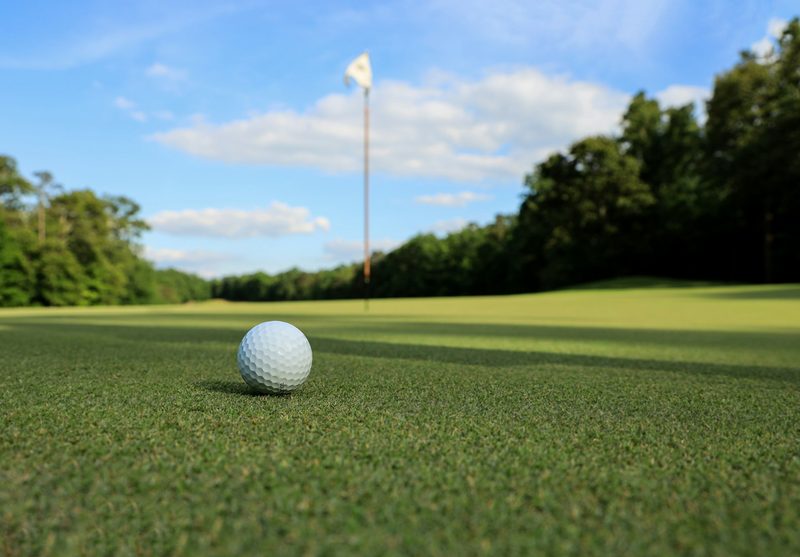Golf ball on a golf course