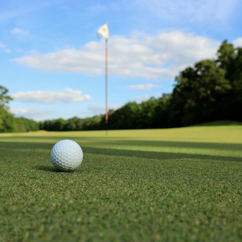 Golf ball on a golf course