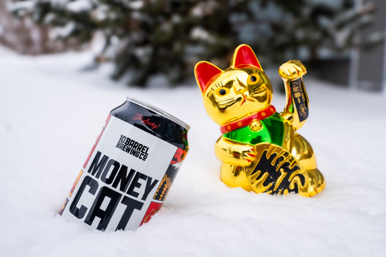 10 Barrel Money Cat lager.