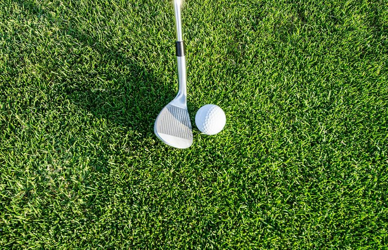 Golf ball on the green