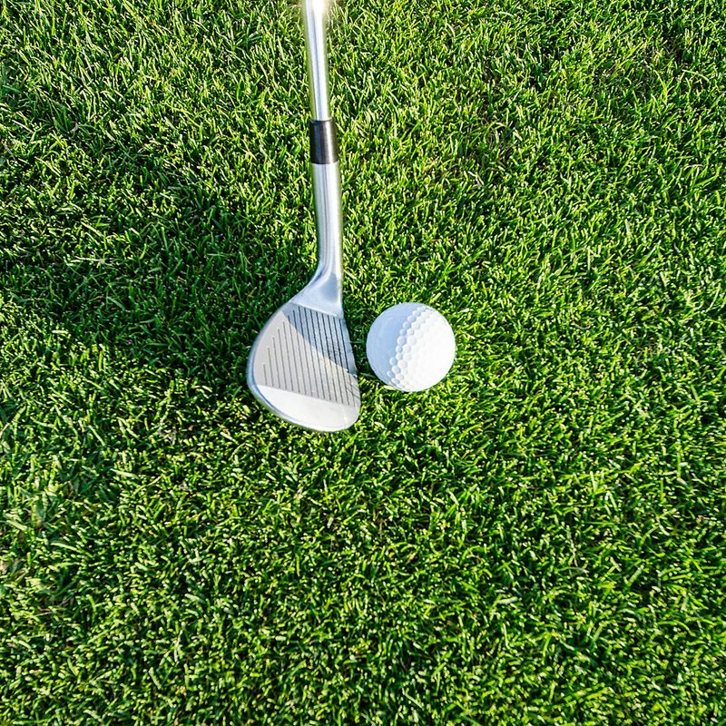 Golf ball on the green