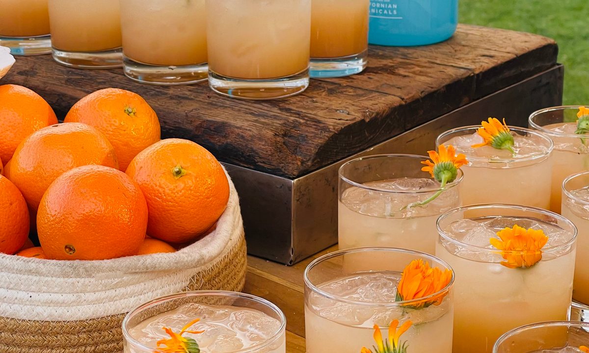 Gray Whale Gin