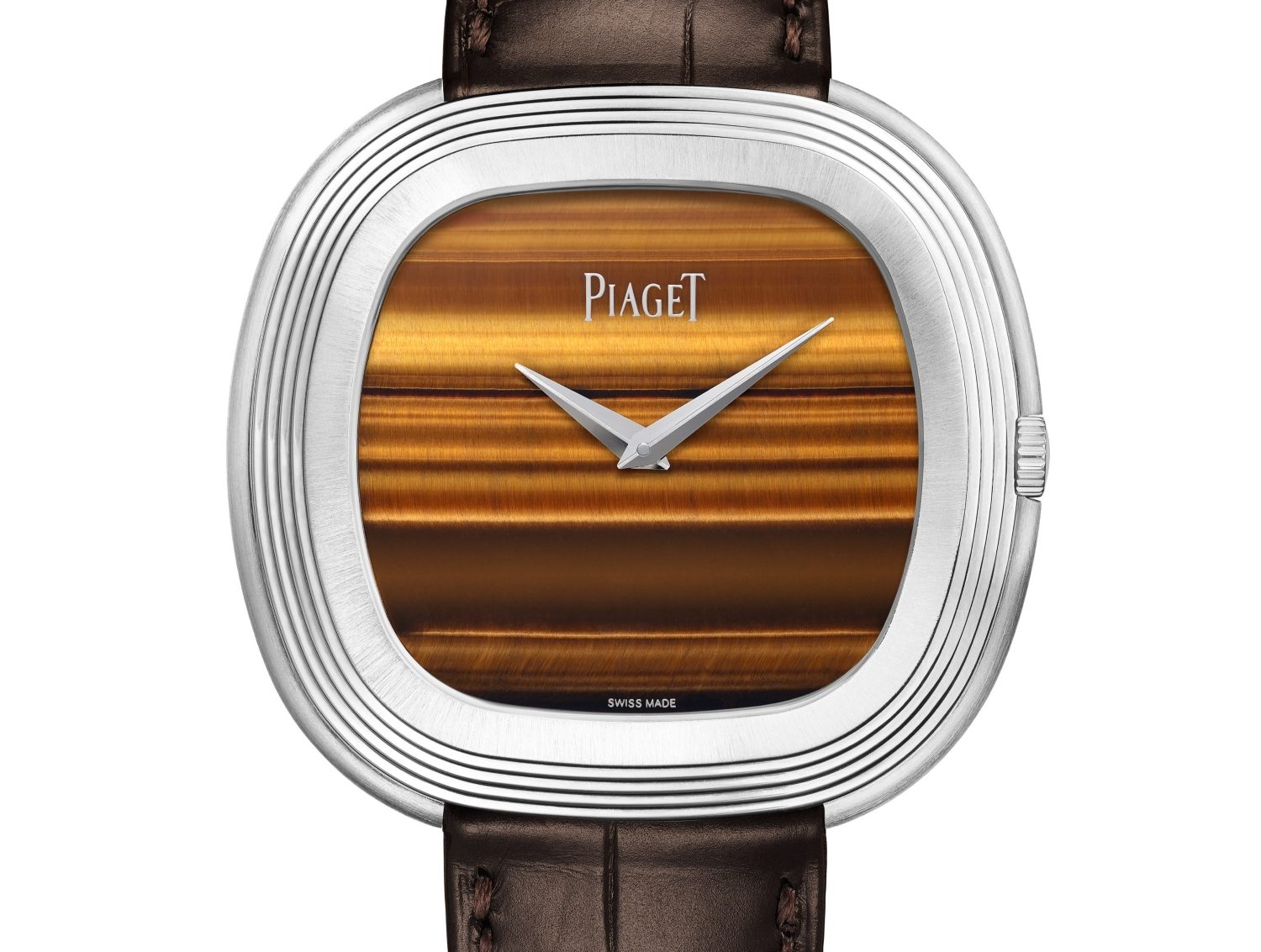 Piaget Andy Warhol