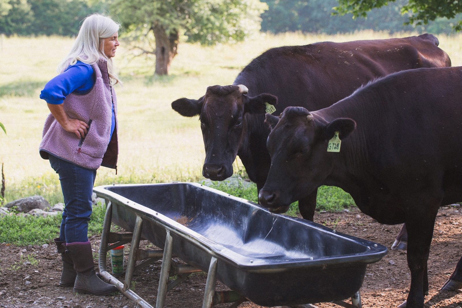 Vermont Wagyu Owner