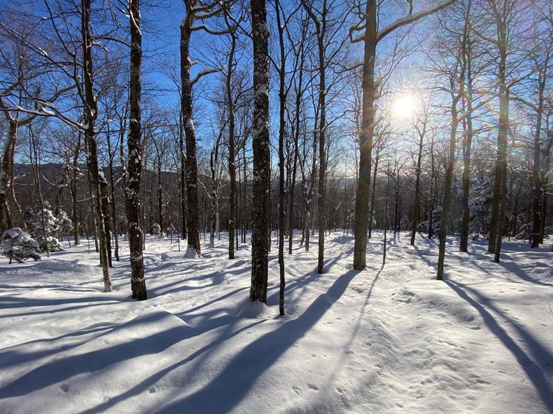 Stowe Mountain Resort