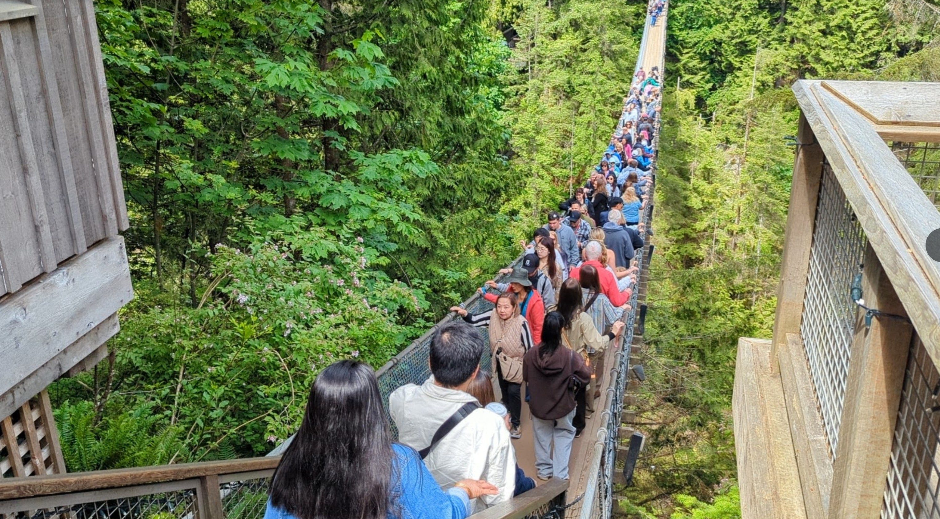A crowd crossing the Capilano Bridge during the day