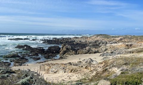 Asilomar State Marine Reserve, California