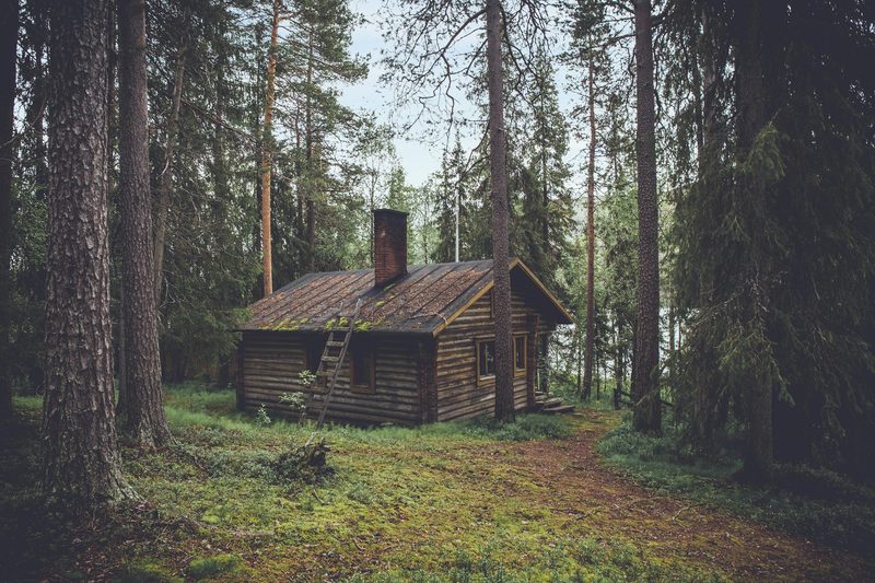 Cabin for camping in the woods