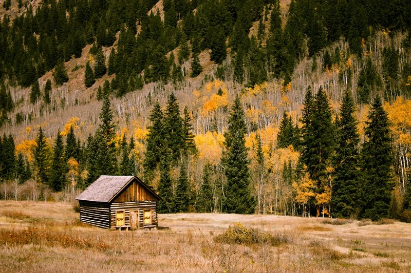 Cabin for camping in the meadow surrounded by fall trees