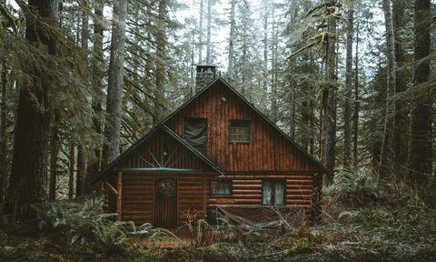 Cabin for camping surrounded by forest
