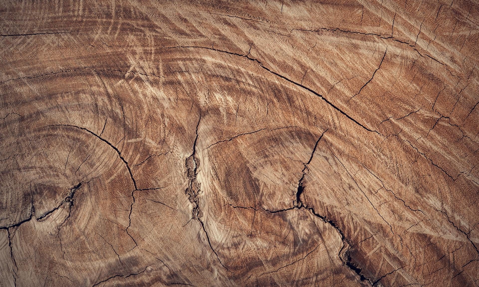 wood