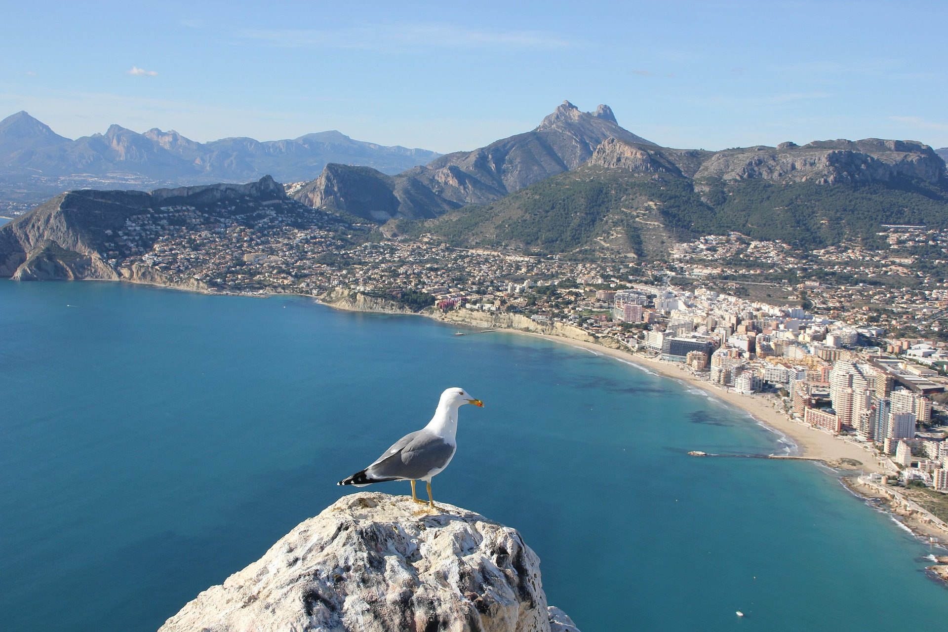 Alicante Spain