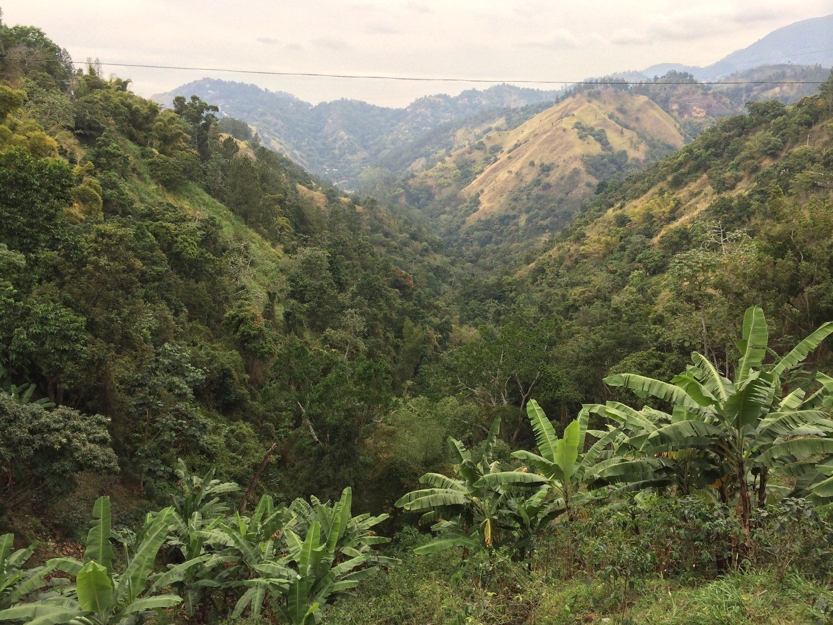 Blue hill mountains in Jamaica during the day