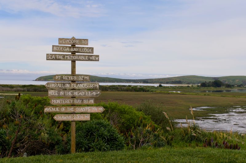 The Lodge at Bodega Bay