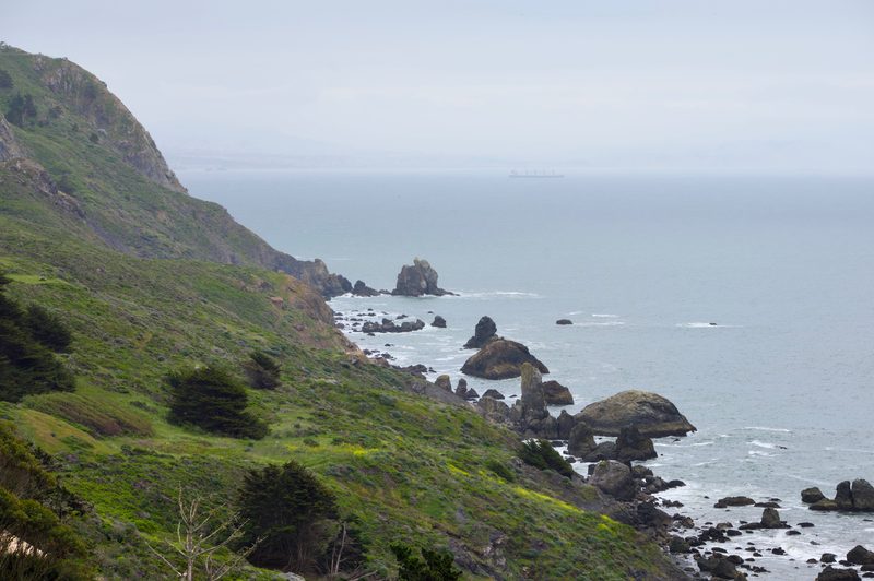 Along Highway 1 between San Francisco and Bodega Bay