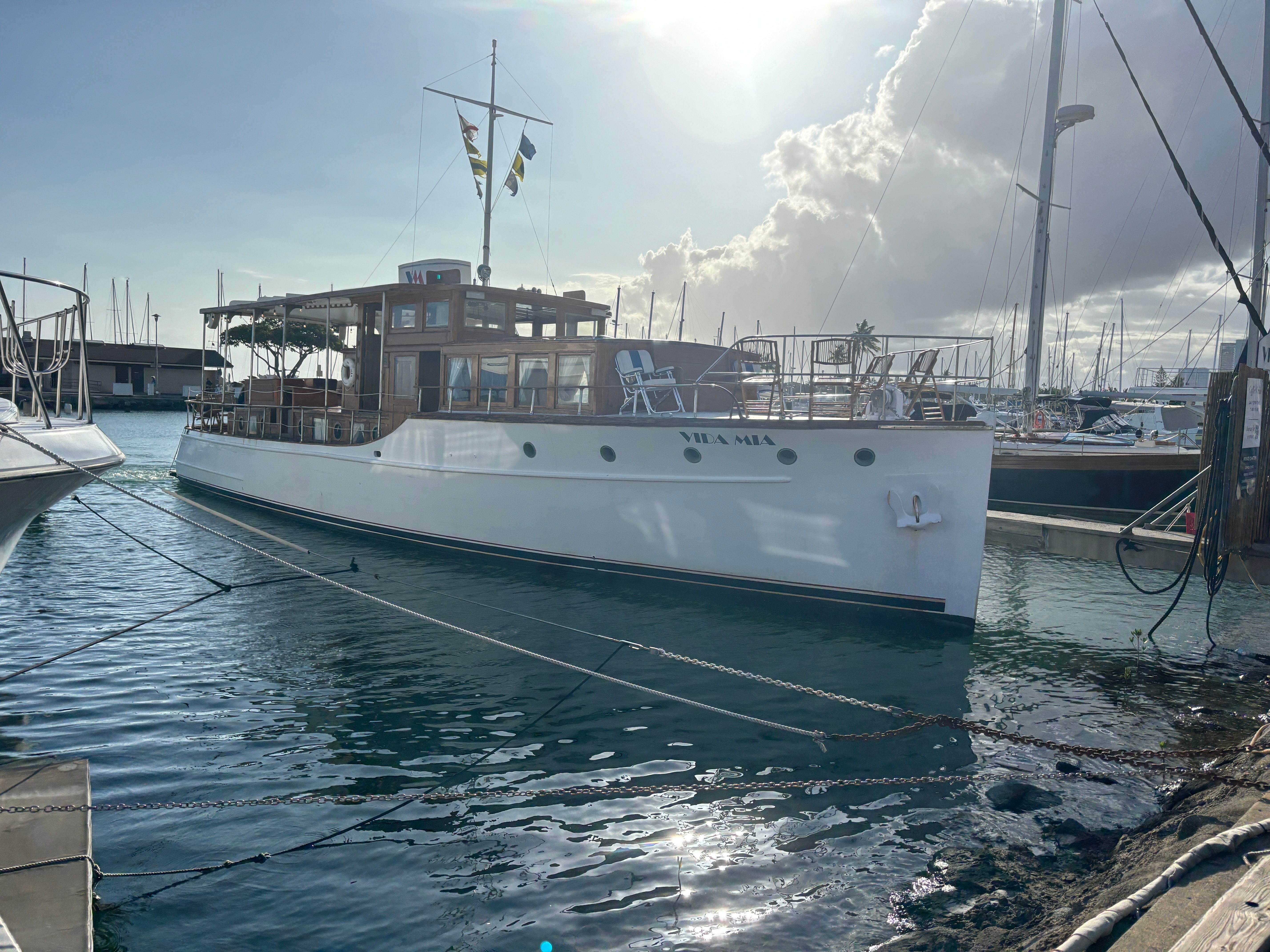 Vida Mia Cruise