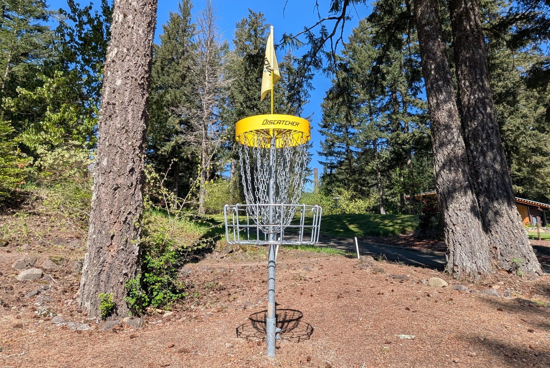 Yellow disc golf basket