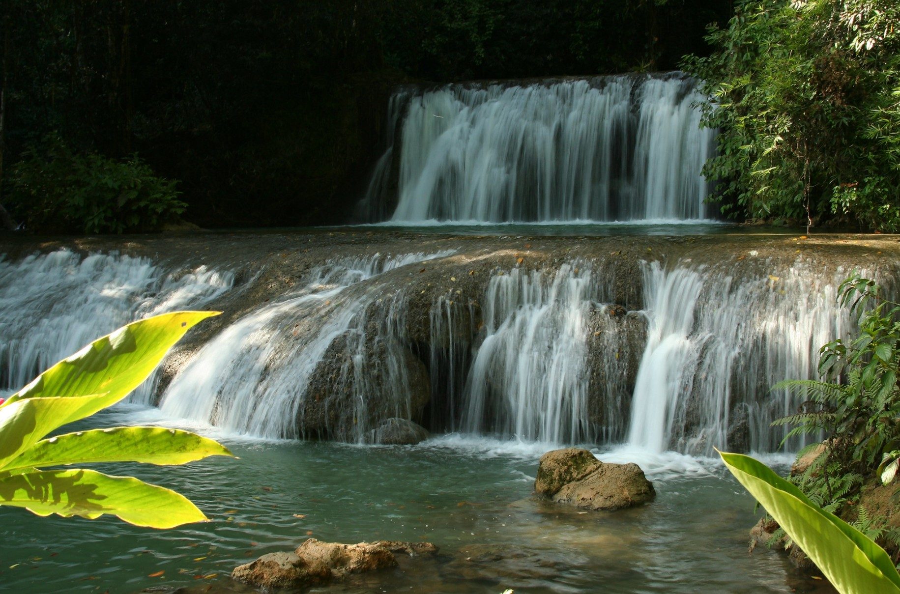Falls and moss in YS Falls Jamaica