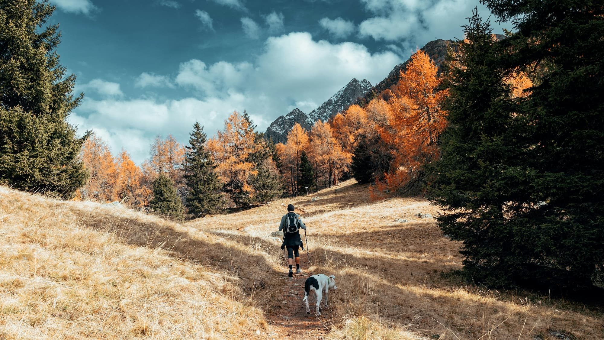 man and dog hiking