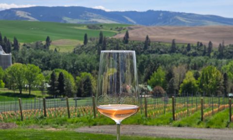 A glass of wine in front of the Blue Mountains of Washington