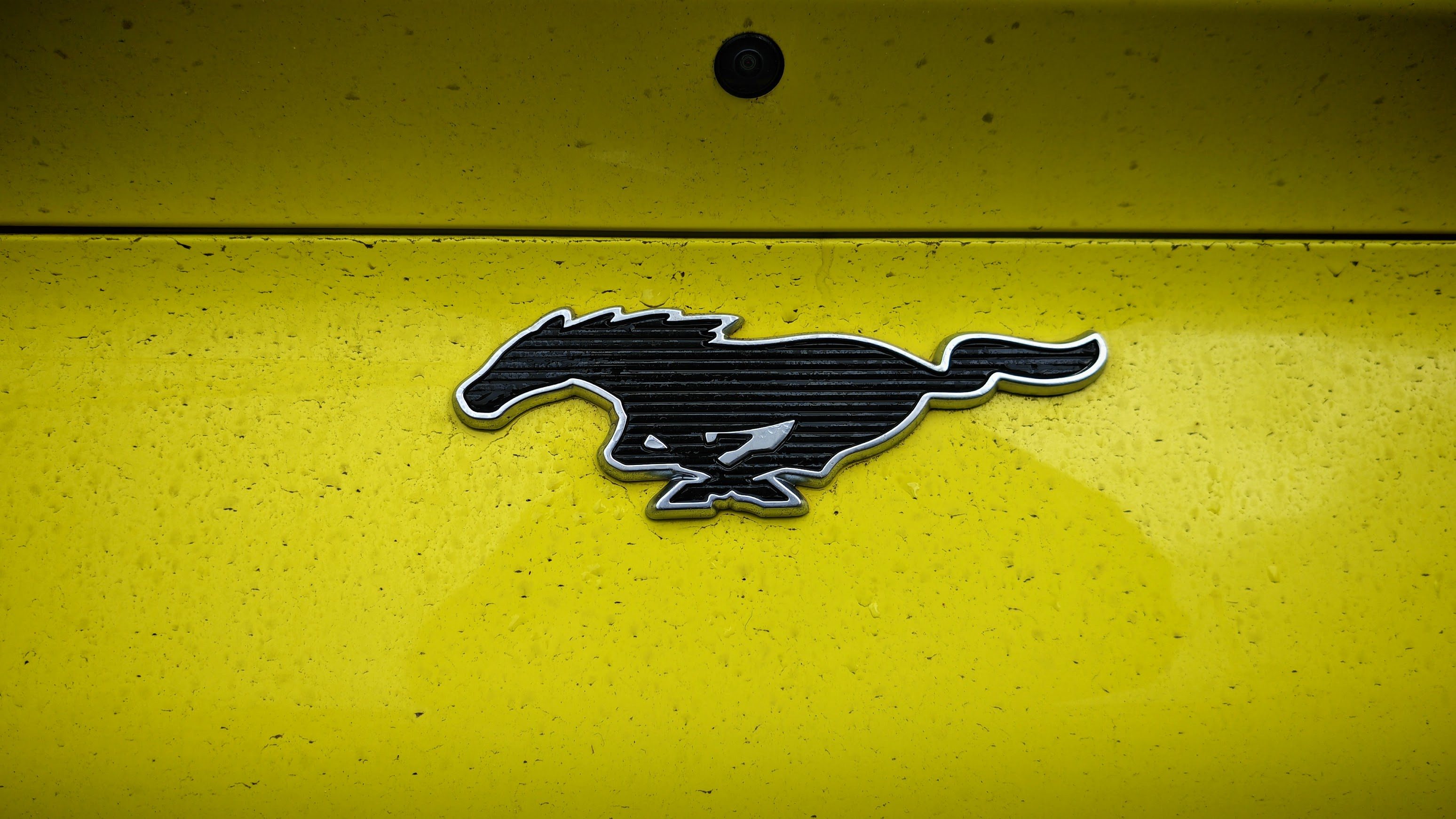A dirty Mustang Mach E badge